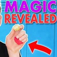Magic Tricks Revealed
