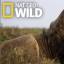 Nat Geo Wild